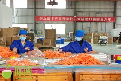 火爆！天猫双十一小家电销量巨增，日用百货掀起消费热潮